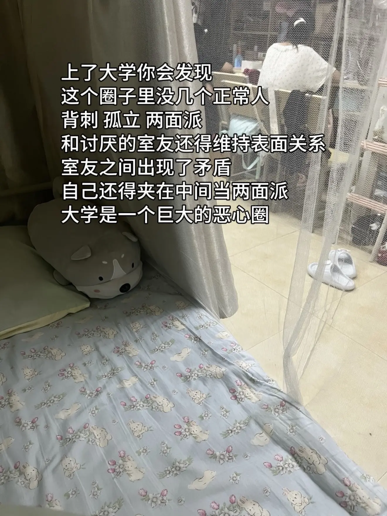 大学是一个巨大的恶心圈。
