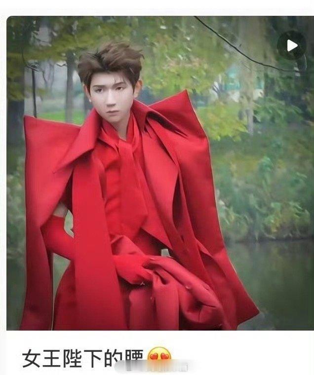 王源粉丝：女王陛下的腰 