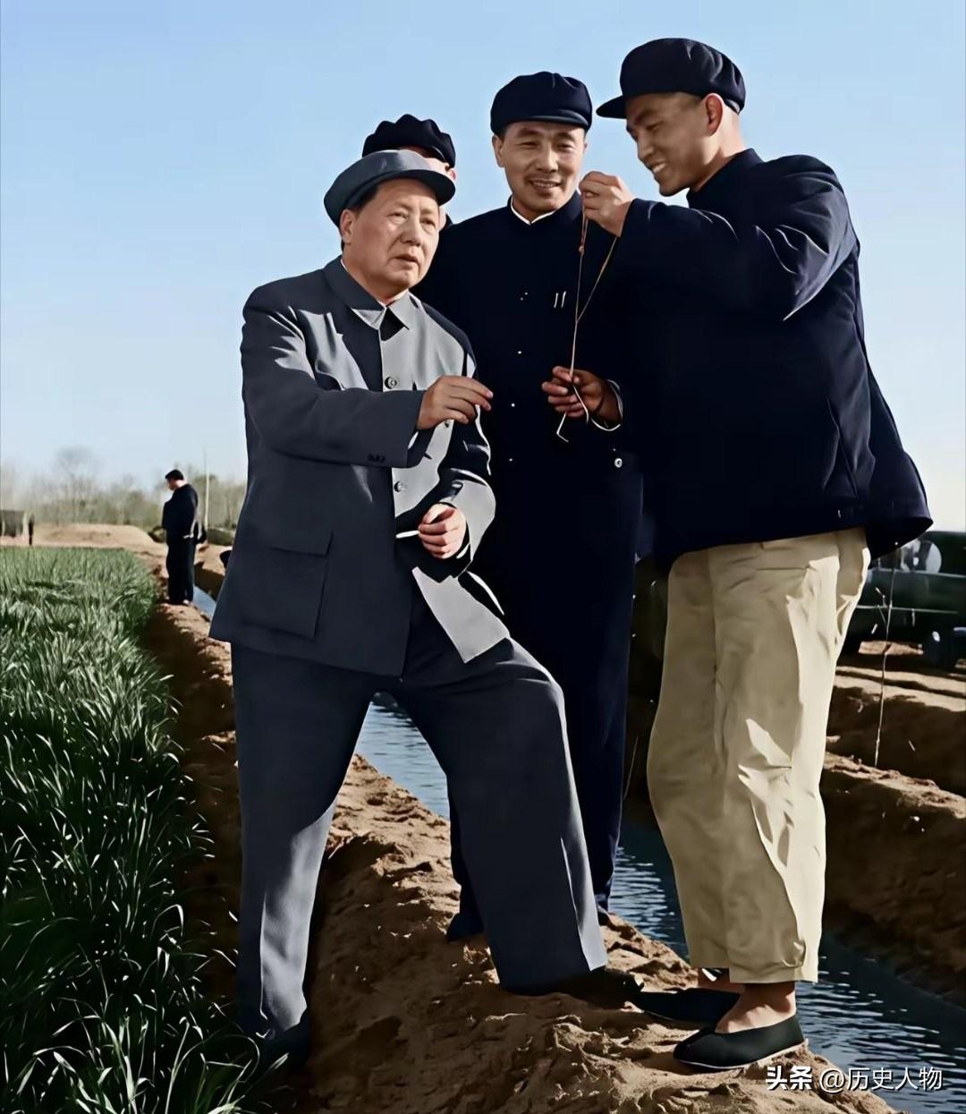 1959年毛主席赴邢台郊外查看小麦长势，只戴一顶帽子，从不要人撑伞。邢台县县长张