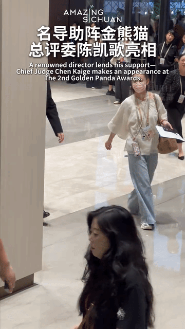 因为帅儿子陈飞宇，陈凯歌也有了不少“儿媳妇粉”～他也是托了儿子的福，参加金熊猫盛