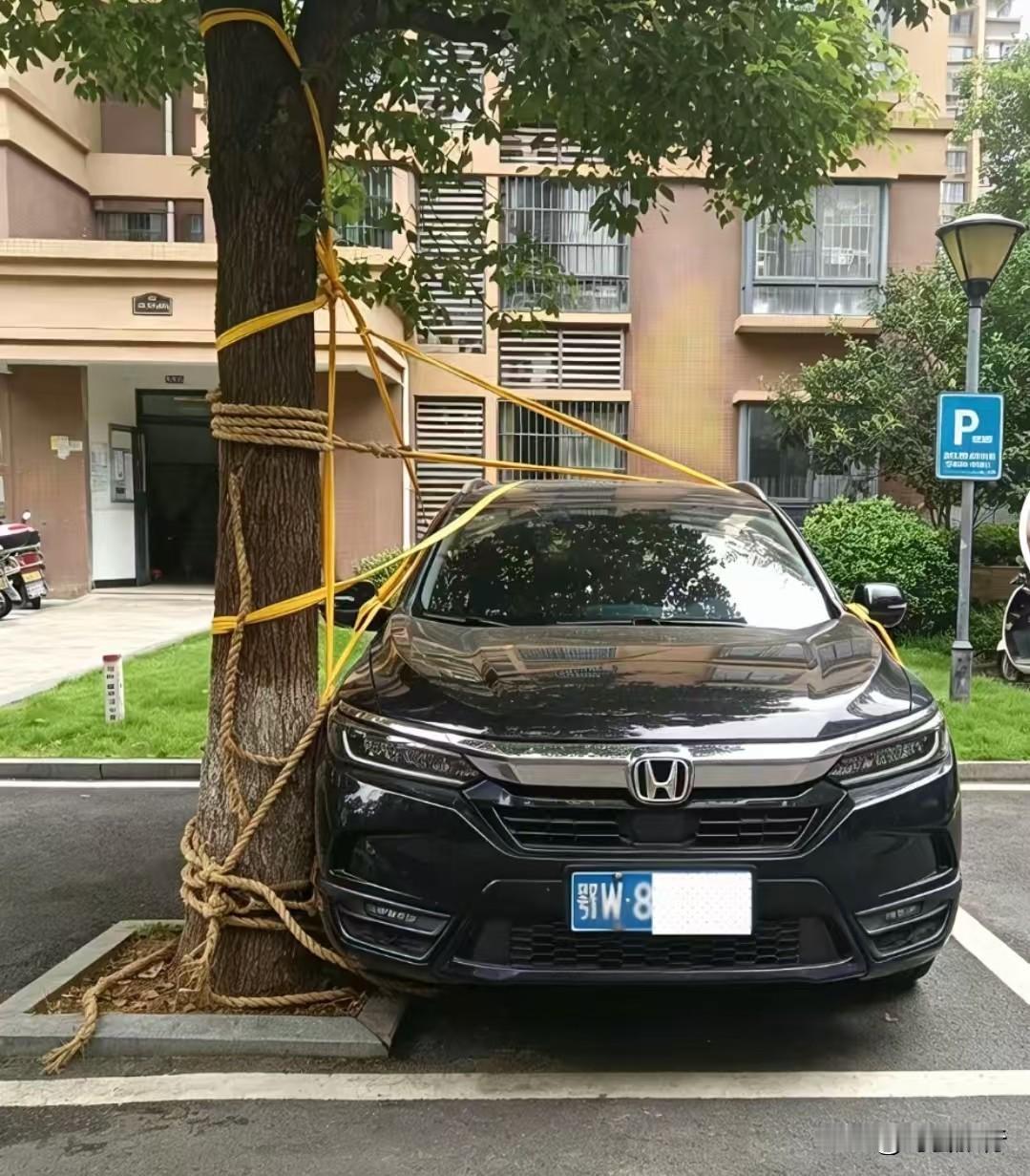 听说台风“巴威”马上要来湖北了，吸取上次黄冈学生街的经验，这次把车子就这样稳稳的