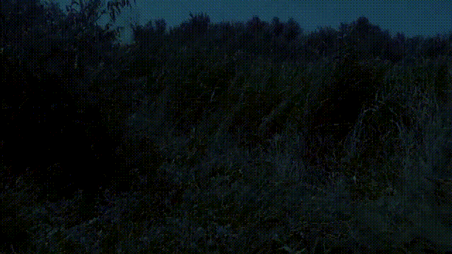 两名乌军划船来投降

两名乌军士兵趁着黎明前的夜色，来到新组建的“第聂伯河”集团