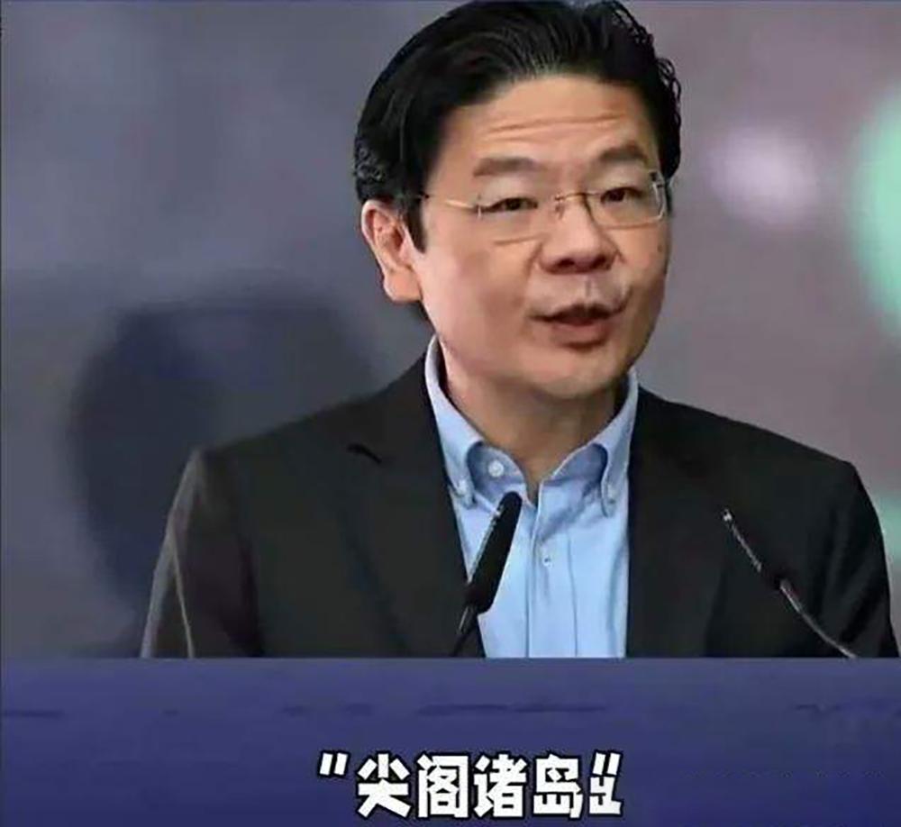 新加坡的一句"尖阁诸岛”，还吹什么东盟最强大脑，这分明就是典型猪脑，70%以上都
