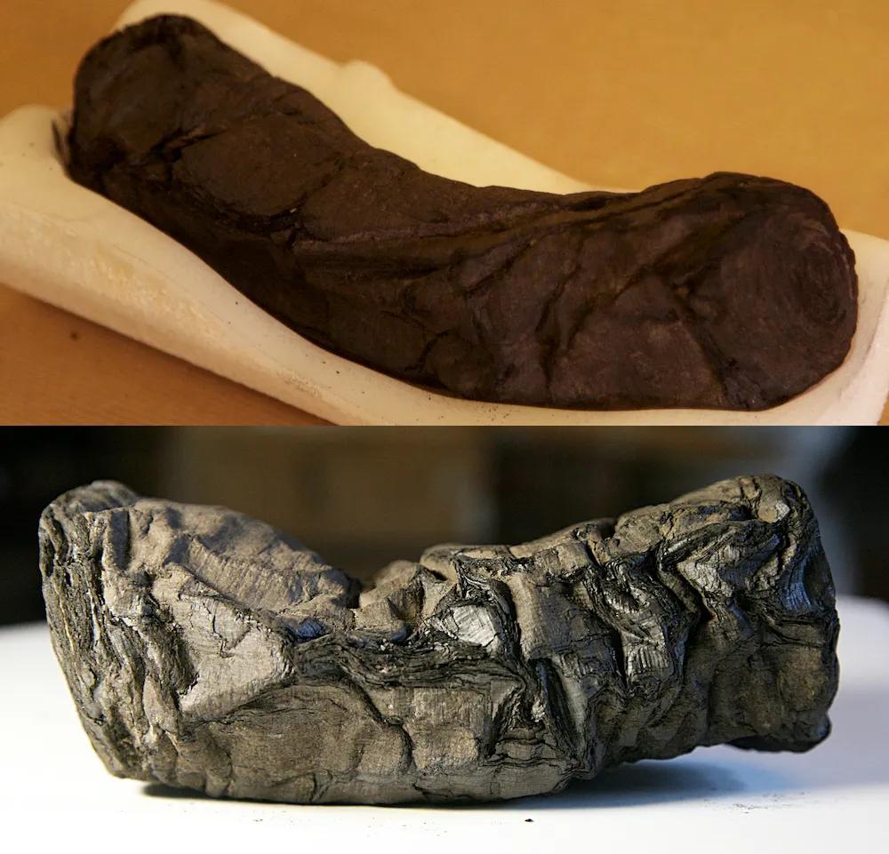 纸莎草学（英語：papyrology）
这是研究古代文献、信件和法律文书等书写于
