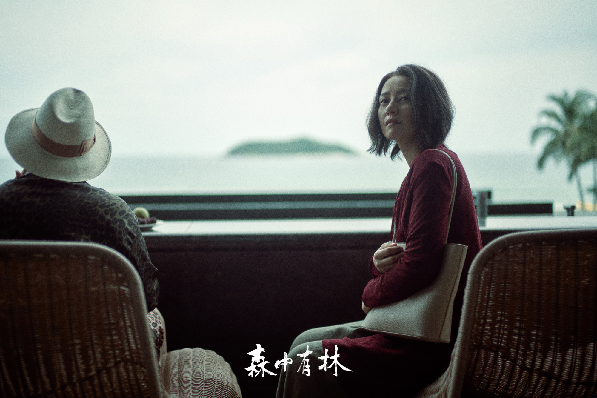 高圆圆学做东北辣白菜 高圆圆亲手腌制辣白菜贴合人物，相约看电影《森中有林》，解锁