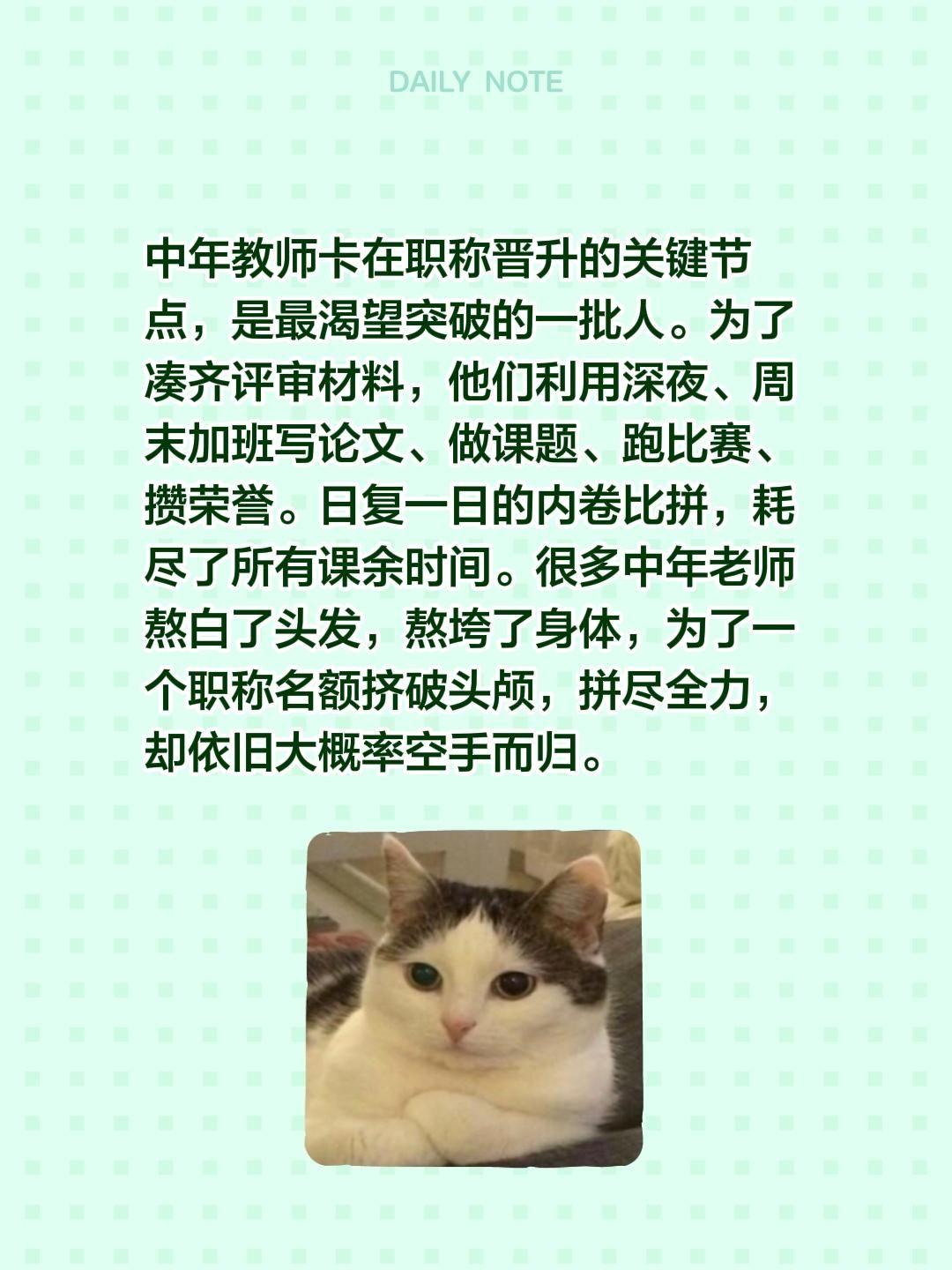 中年教师卡在职称晋升的关键节点，是最渴望突破的一批人。为了凑齐评审材料，他们利用