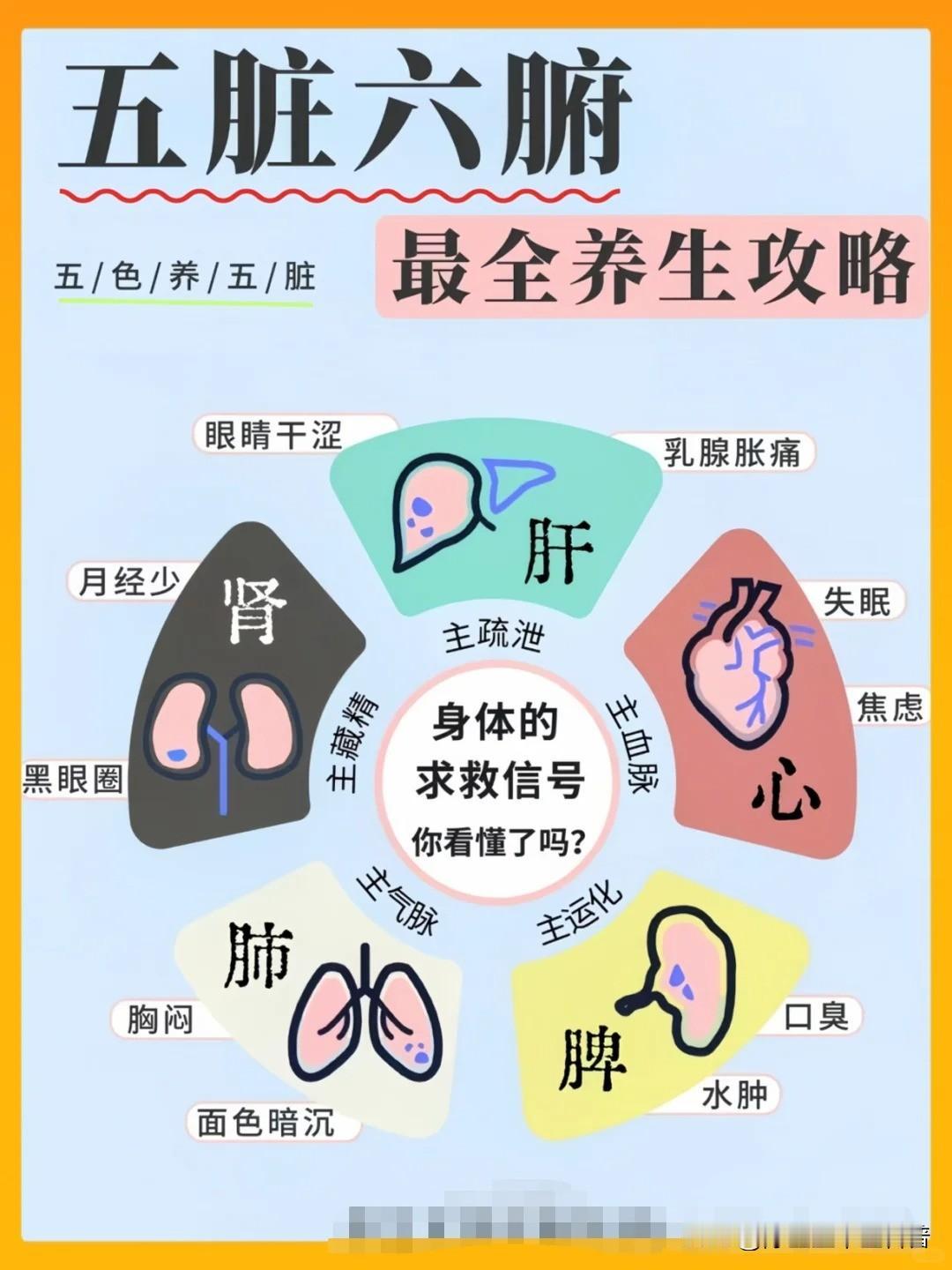 🔥⭐五脏六腑～最全养生攻略⭐❗（建议收藏）

1️⃣心：低脂饮食，适量有氧，戒