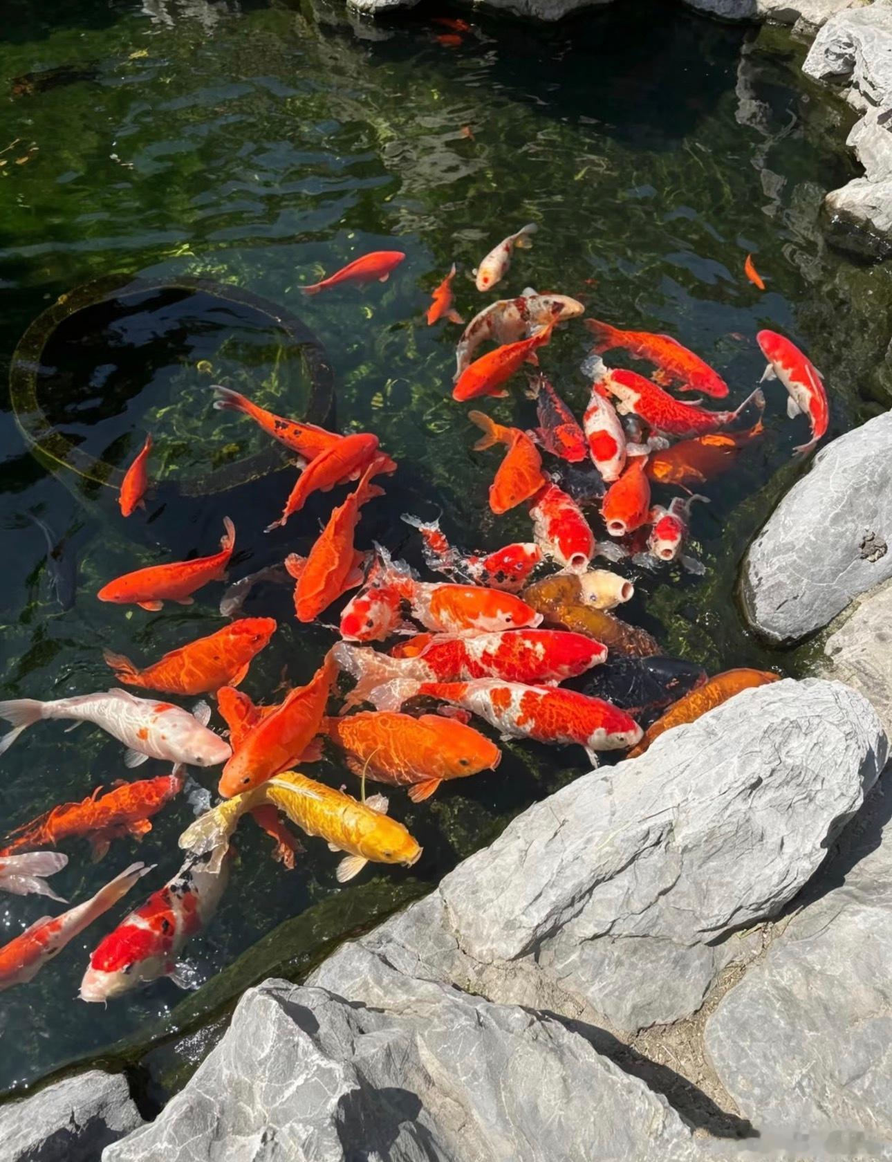 缘主：接下来你所有不顺心的、不好的事情都结束了！ 