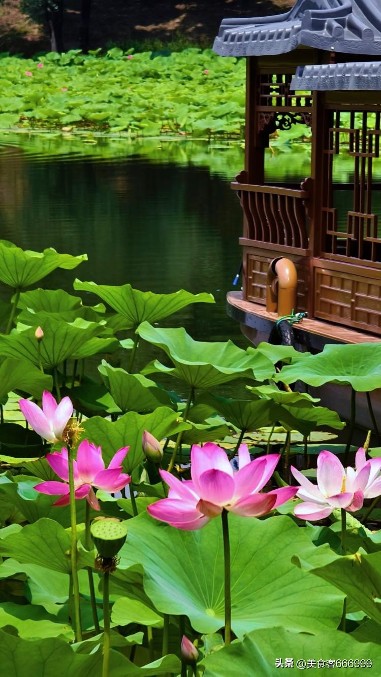 上联：夏日荷花香满池
下联：秋月桂花甜万家