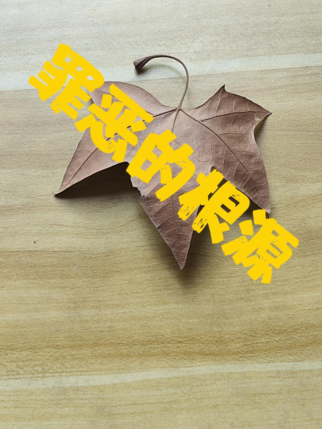 美国以为的战争
战争的样子，从来不看敌我
美国以为什么时候开始
什么时候结束尽在