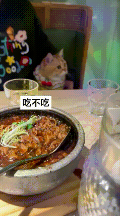 橘猫挑食名场面！主人喂肉竟被精准摇头拒绝，萌翻全网
 
谁能想到，猫咪挑食居然能