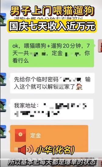 #00后国庆7天喂猫遛狗收入近万# 7天喂猫遛狗收入近万，无疑遇到“不差钱”的主