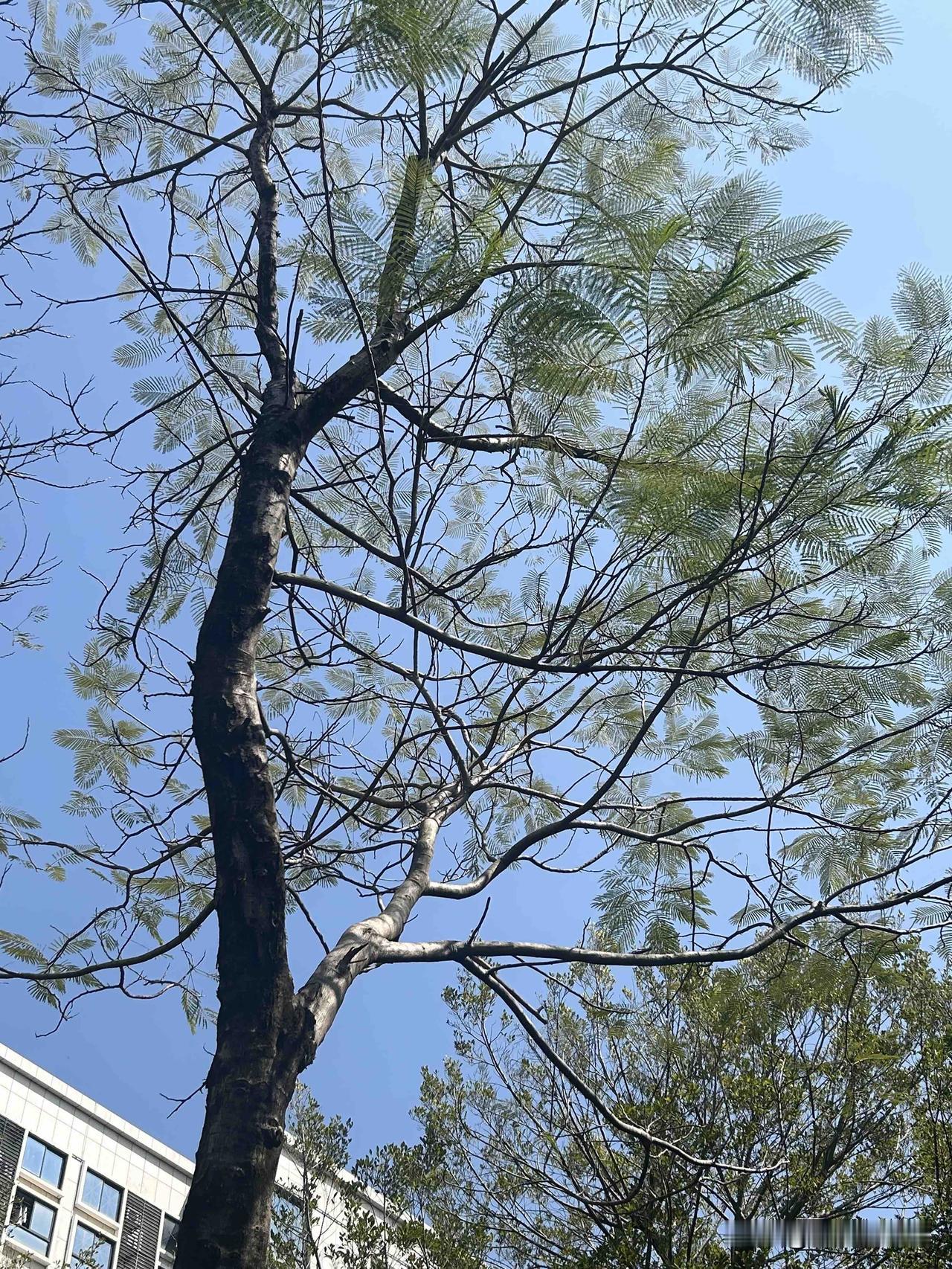 已经接受找不到工作的现实
我毕业一年半没有什么工作经验，总会有比你更优秀的人。我