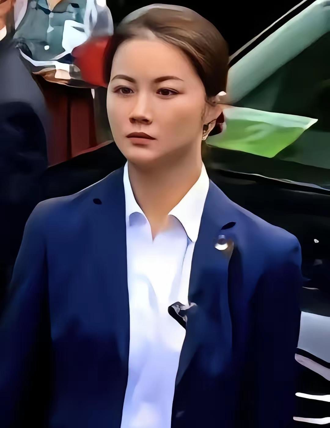 郑丽文从大陆回去后，
在节目里絮絮叨叨念想的，
居然不是什么大好河山，而是大陆的