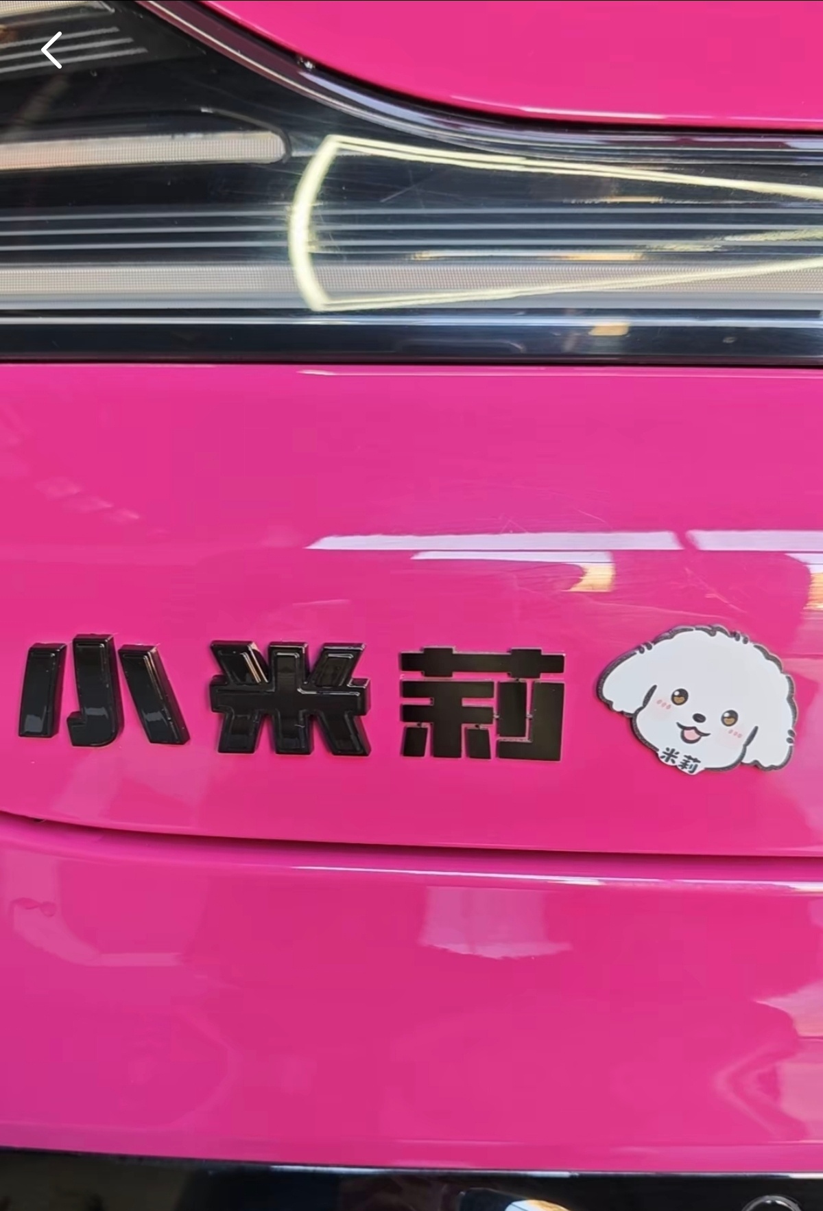 小米 莉 
