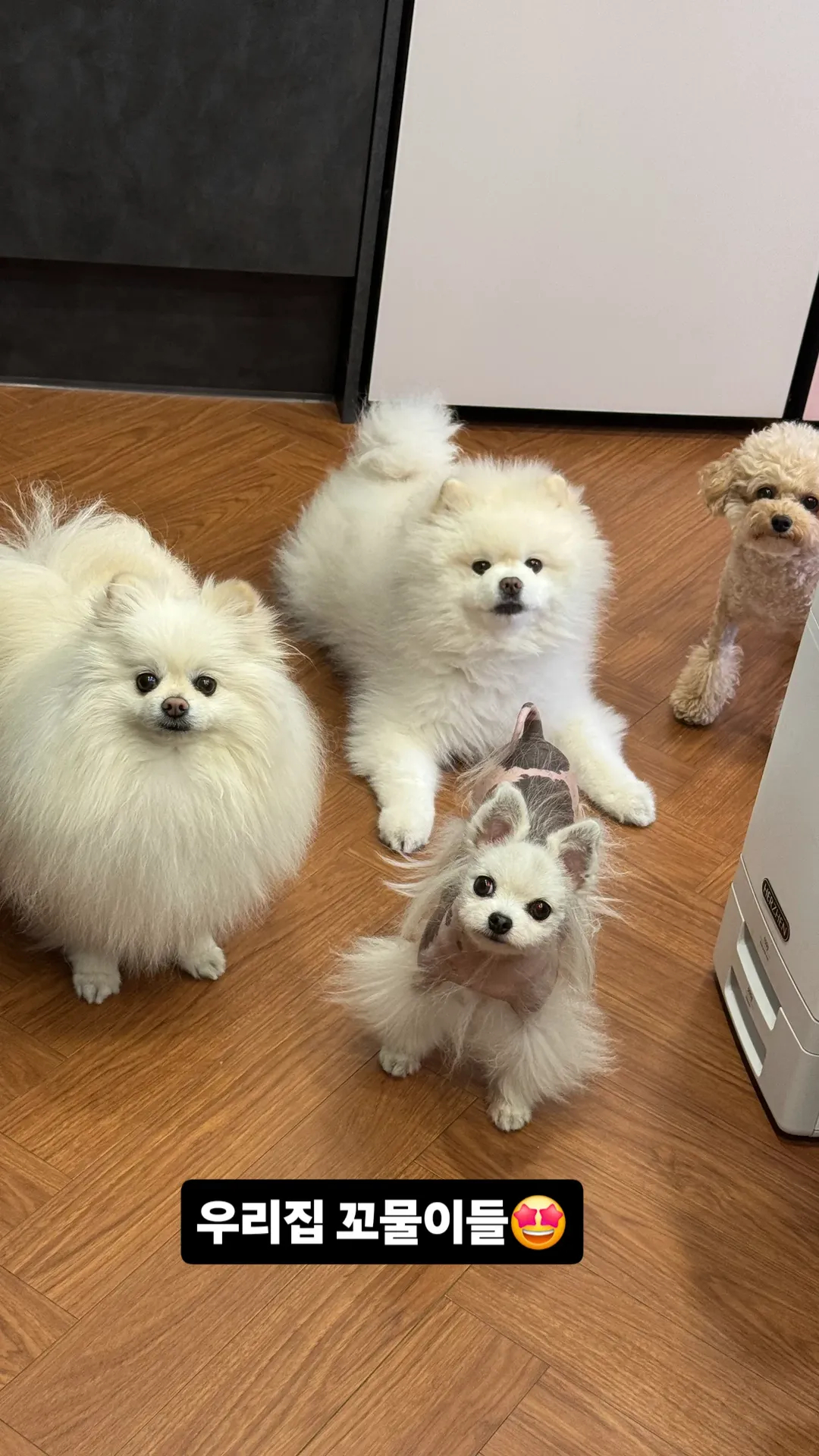 四个小鬼 