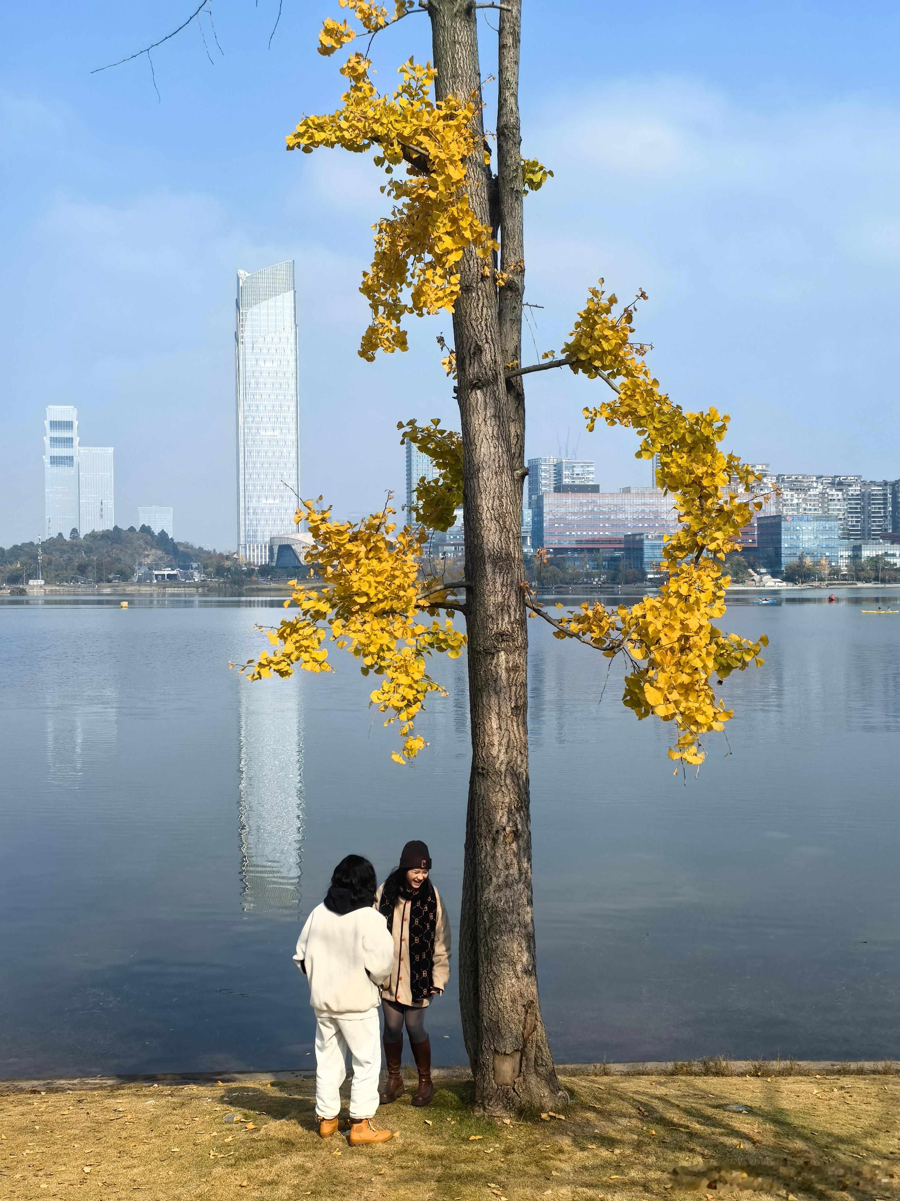 库切︱耶稣的童年诚实是好事，但有时候不那么诚实也许更好。这本书代表了我们两种看世