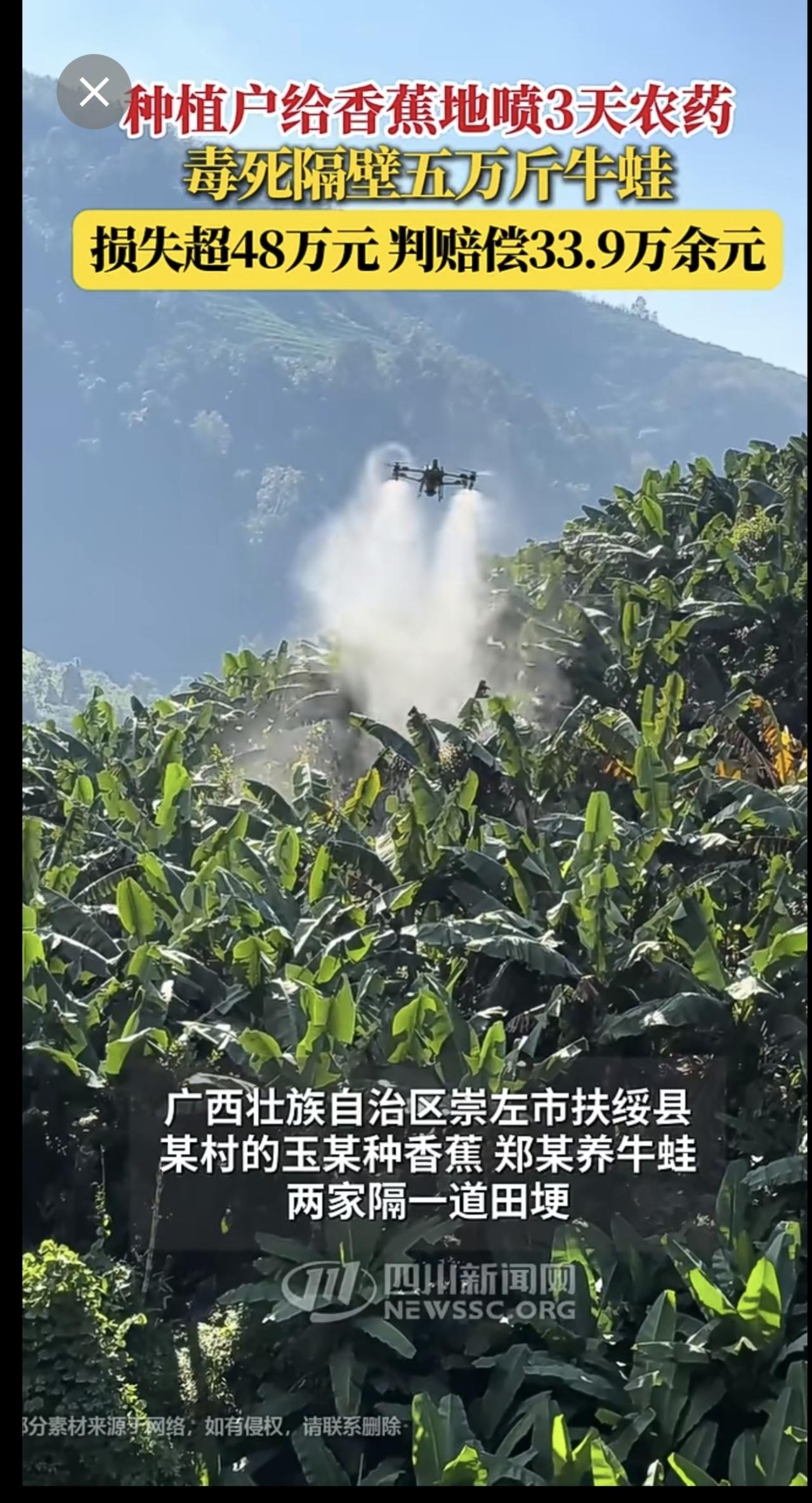 香蕉地喷药3天，毒死邻居5万斤牛蛙，判赔33.9万元