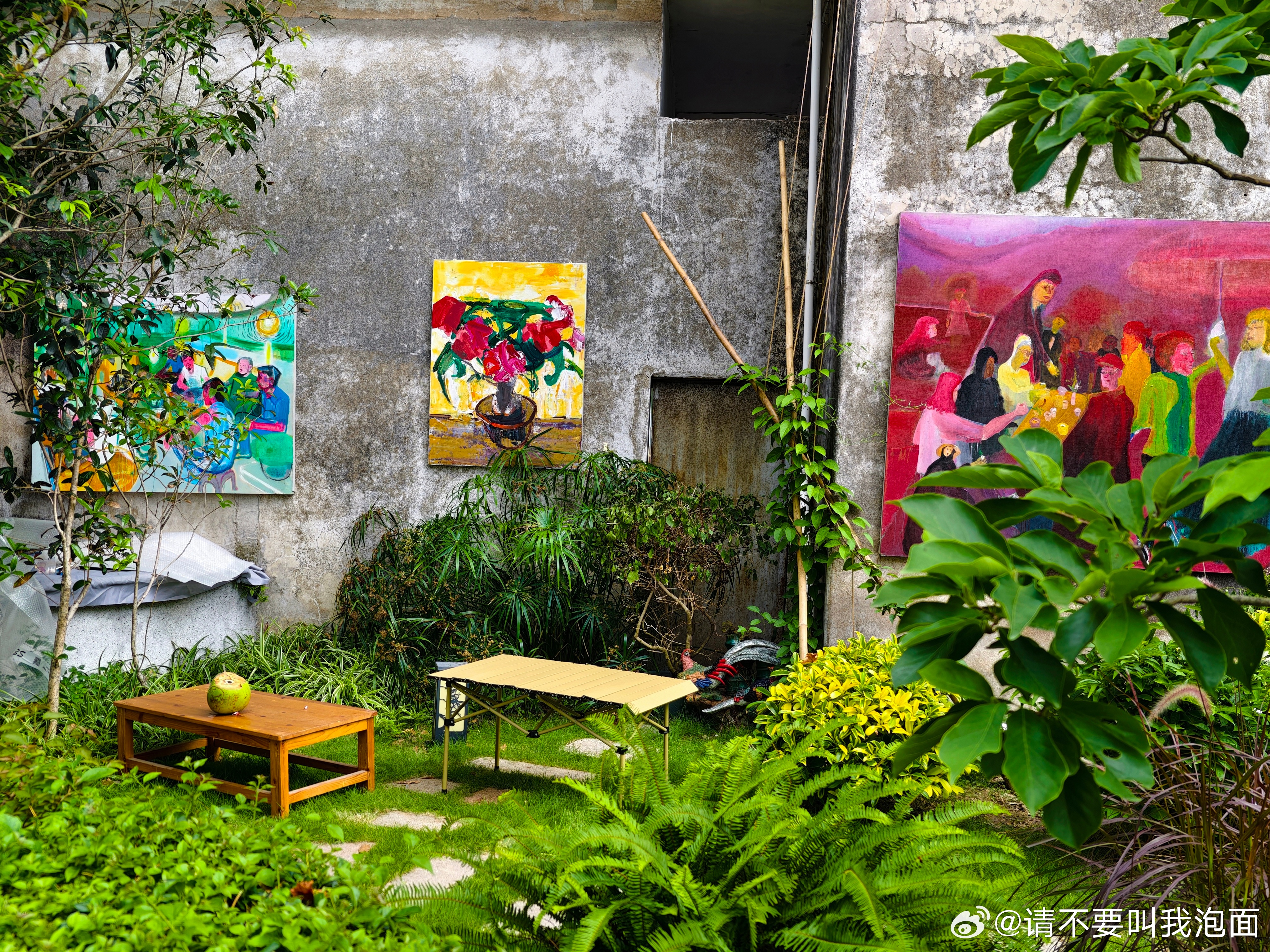 躲进小院里，看画、发呆，与草木一起慢下来。摄影世界黄文说摄影世界投稿摄影世界  