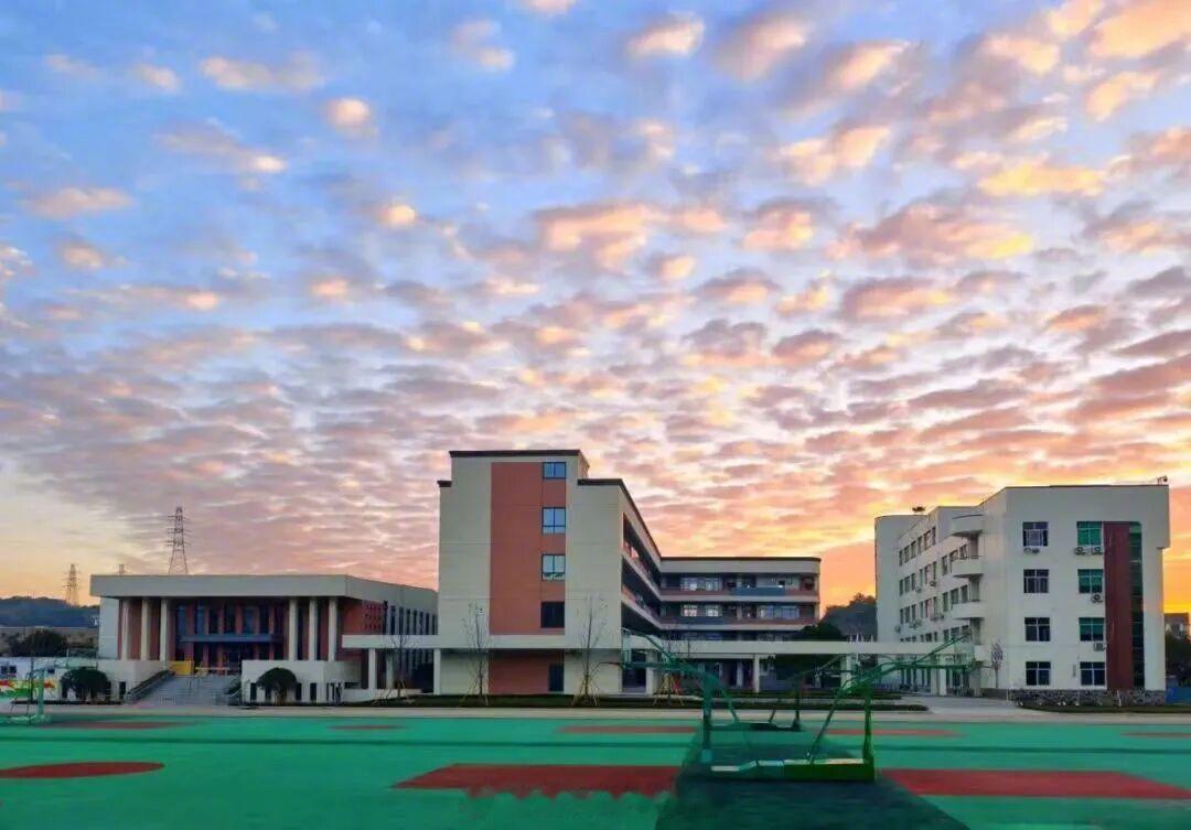 【温州多所学校撤销合并】8月20日苍南县政府批复：灵溪八中和沪山小学合并为外国语