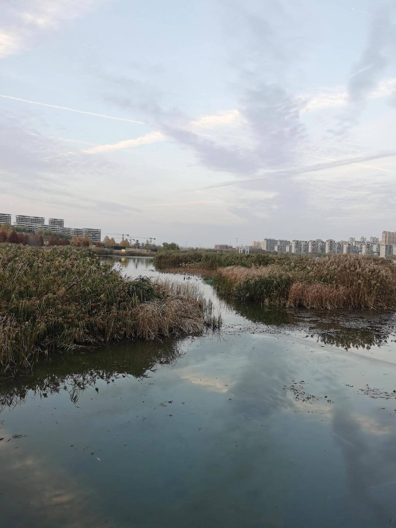 我表姐家里一儿一女，不知道咋想的突然就要三胎了！
在这个养一胎都费劲的年代还敢生