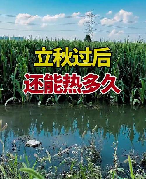 今年立秋后还要热多久？


         2026年立秋：8月7日19:42