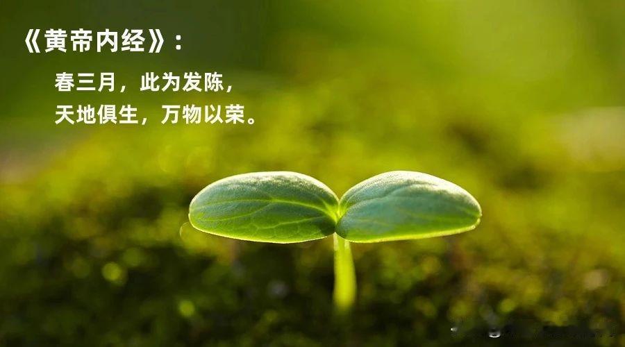 大寒之后，离春天越来越近了，爸妈做好3件事儿，为孩子长个积蓄能量！
 
大寒是2