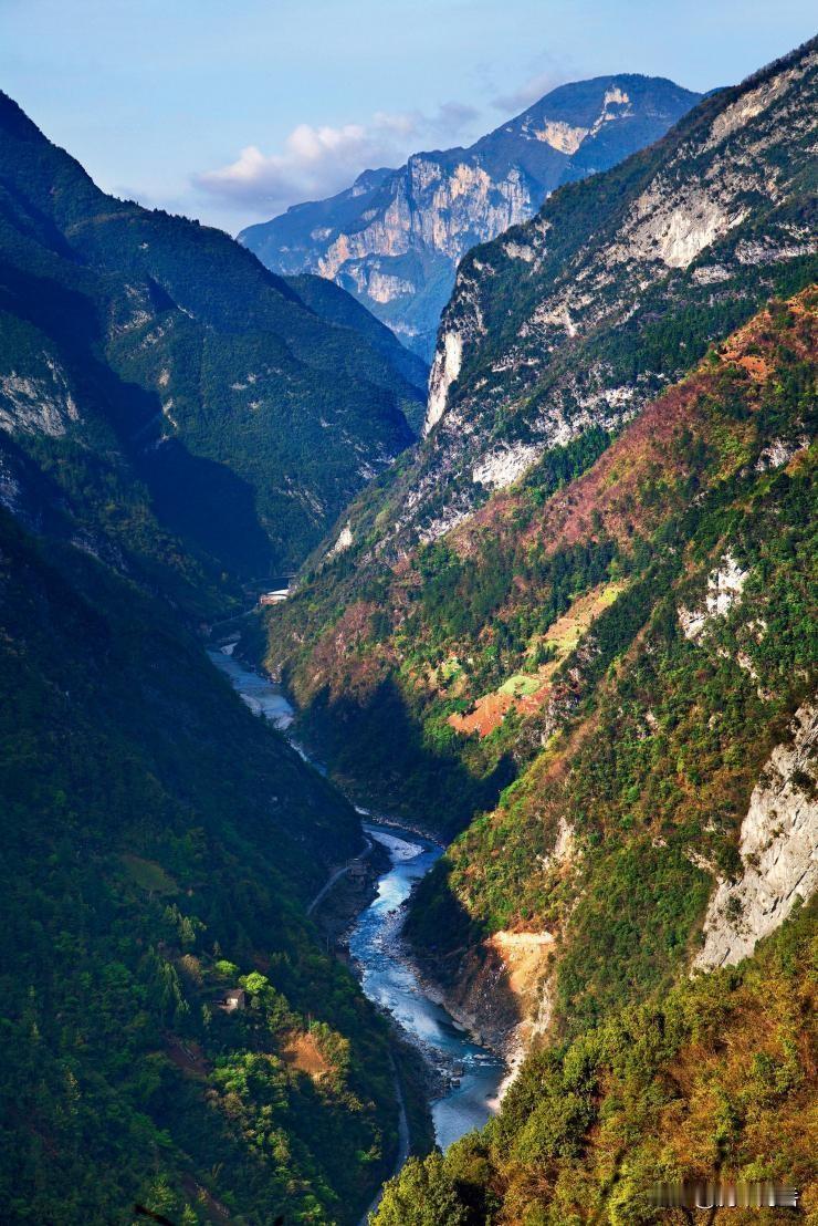 谁给的老人的权利？还强行让座？为老不尊的样！
    这几天发到一个短视频，公交