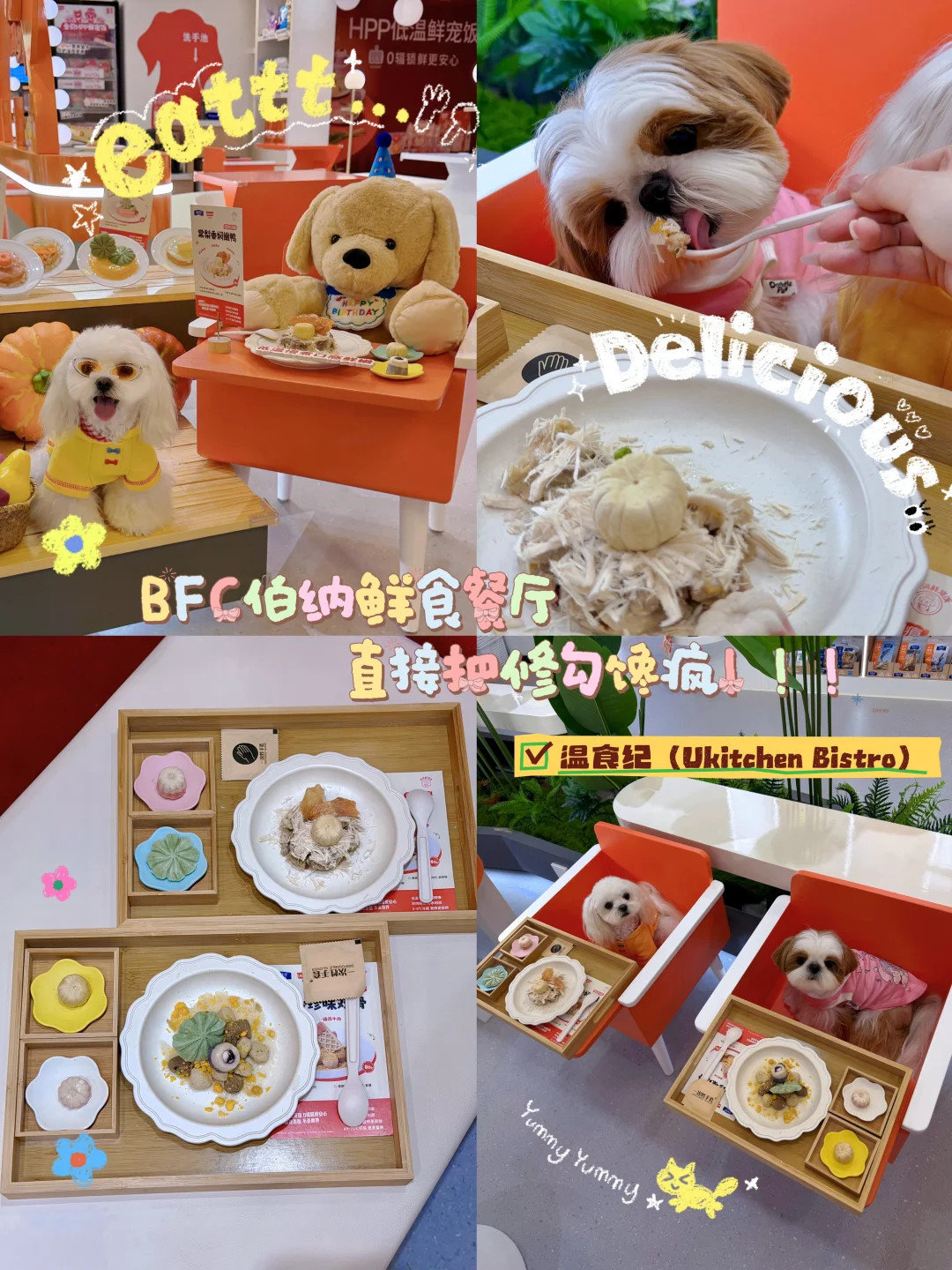 谁懂啊！沪狗们有自己的专属“米其林”餐厅了