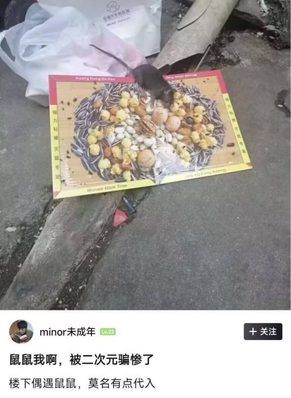 我被二次元骗得有多惨 