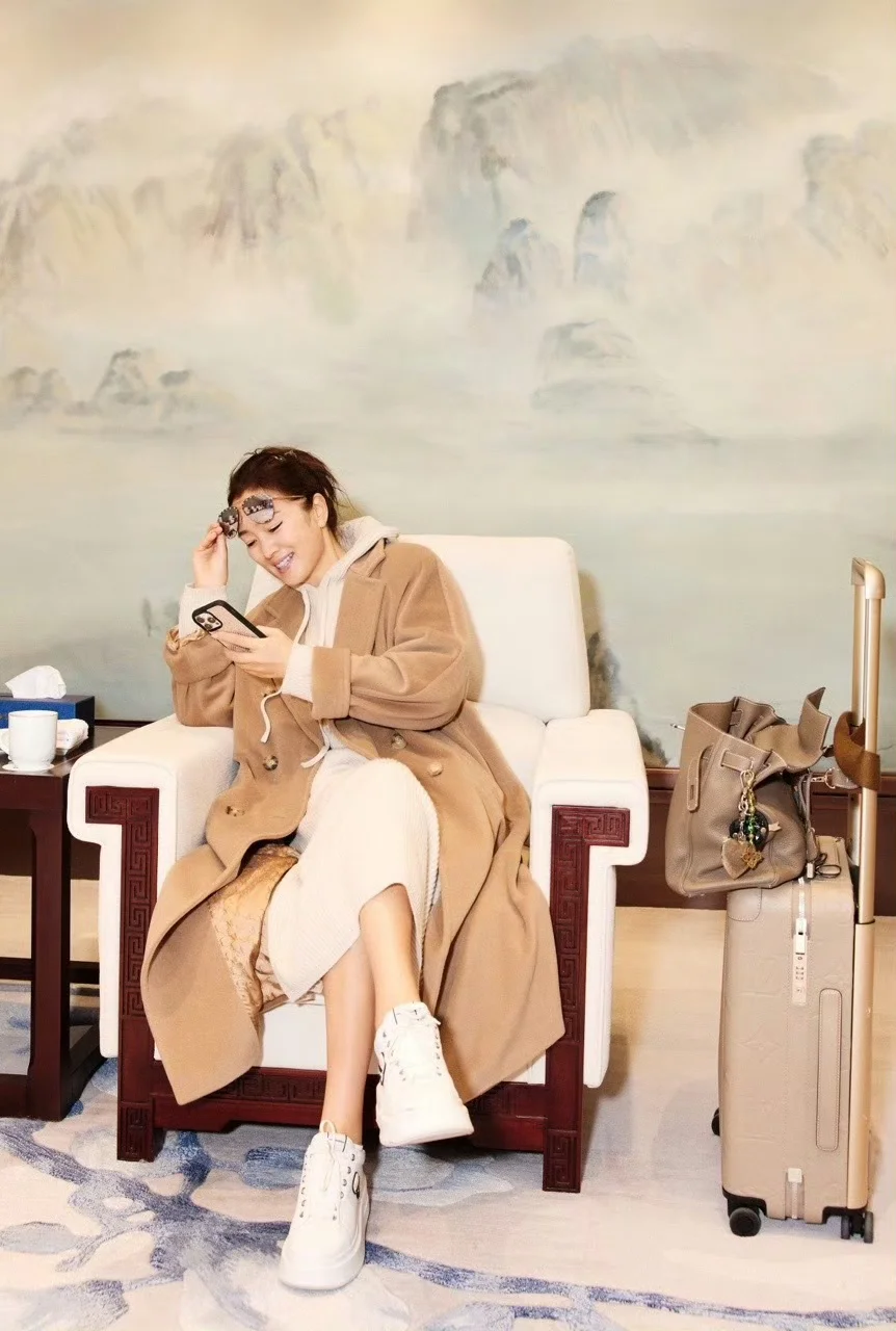 大象灰Kelly包配LV登机箱，巩俐的大地色私服