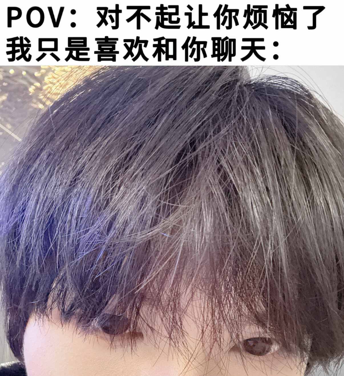 票票小乐乐 