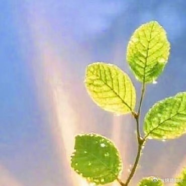 每日一善 困难只是暂时的考验，不是永远的结局，保持微笑与勇气，奋力前行，时光定会