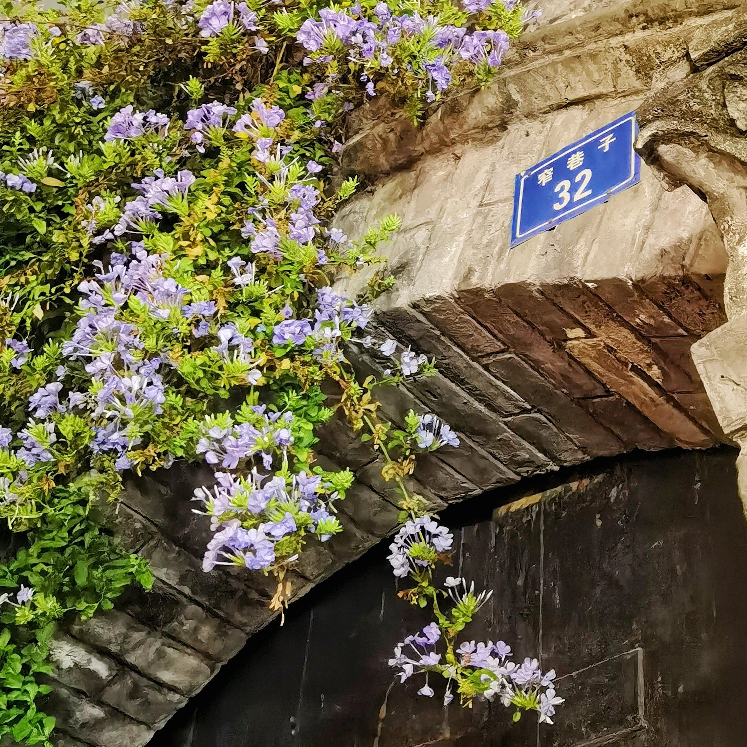 #姜萍4月份总成绩年级第一#一天一个R搜的的目的是让一些大学都看到抓紧积极行动么