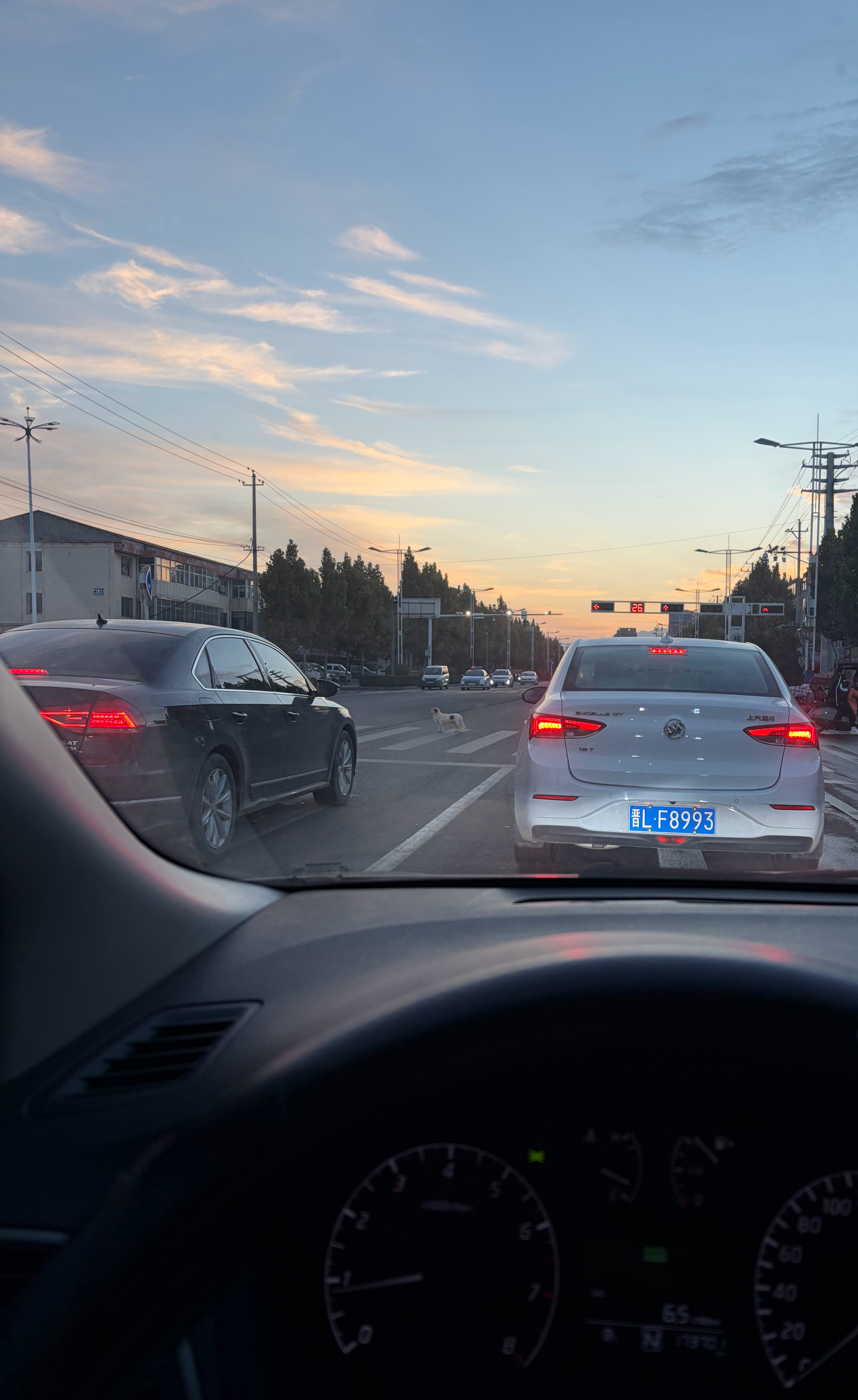 还是老家好。  ​​​