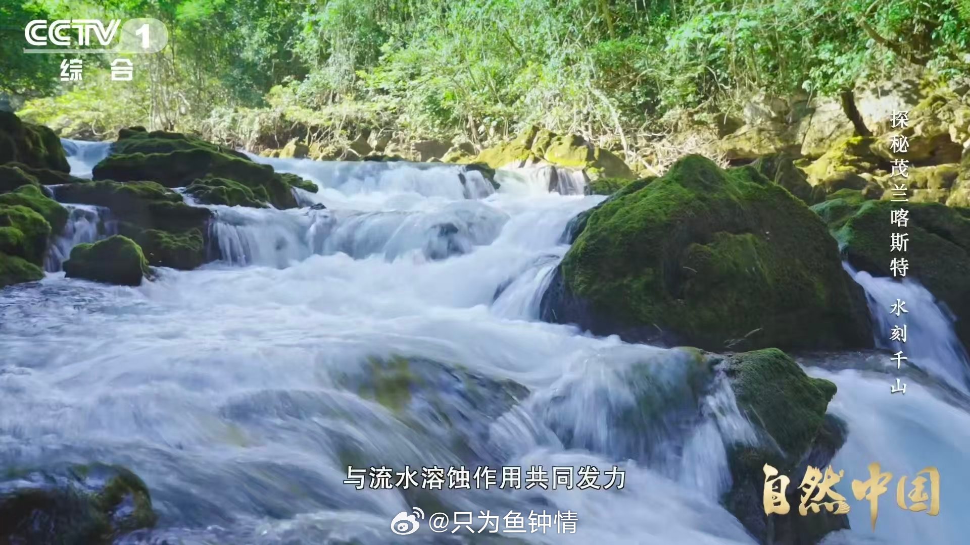 原来贵州曾是大海贵州山顶发现亿万年前珊瑚化石 海与山的距离，被一块化石拉近。亿万