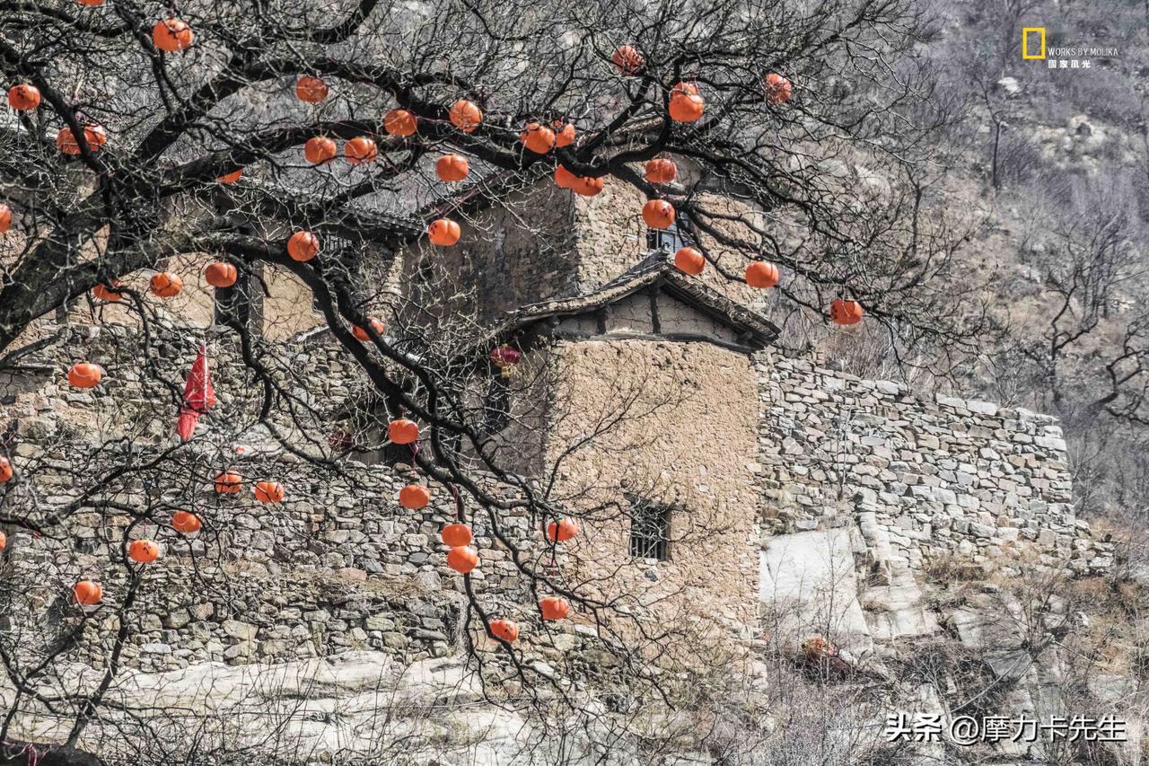 《山西大山深处里的村庄》
乱石铺就的岁月，黄土垒起的时光。
老房子守住了山村的乡