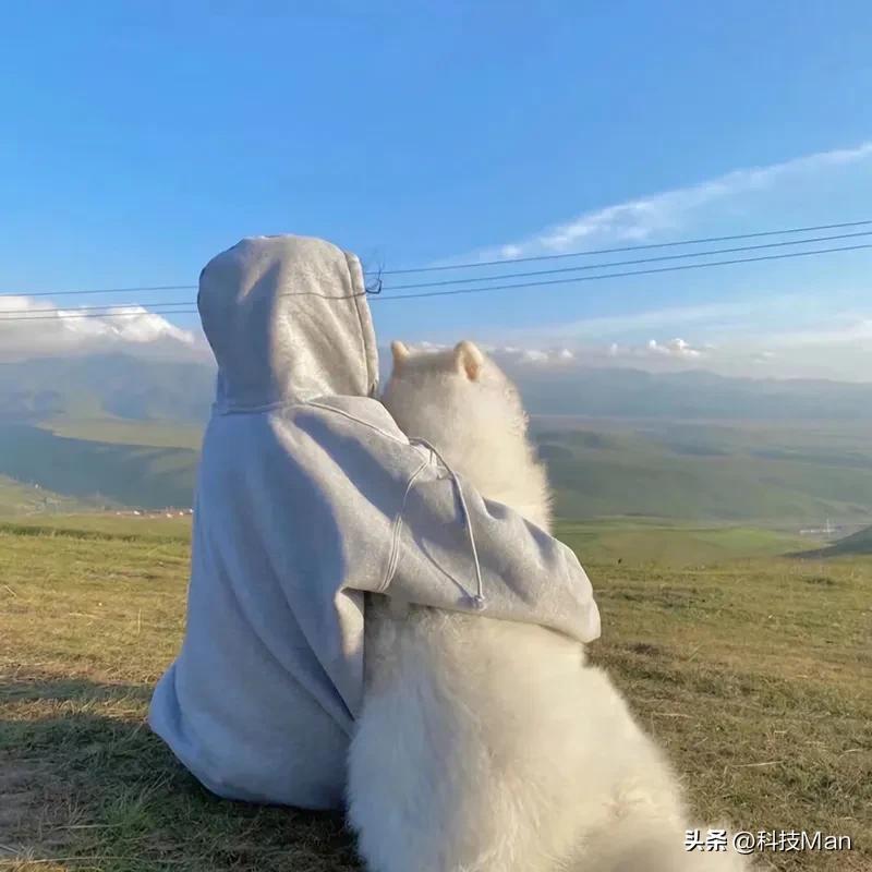 在生活的快节奏中，我们总是渴望找到片刻宁静，也向往着繁华世界的多彩与魅力。旅行，
