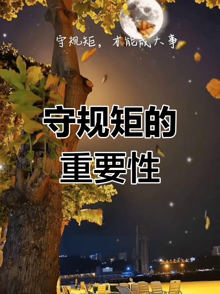 守规矩的重要性
       2026 年，我越想越觉得守规矩太关键啦。就拿交通