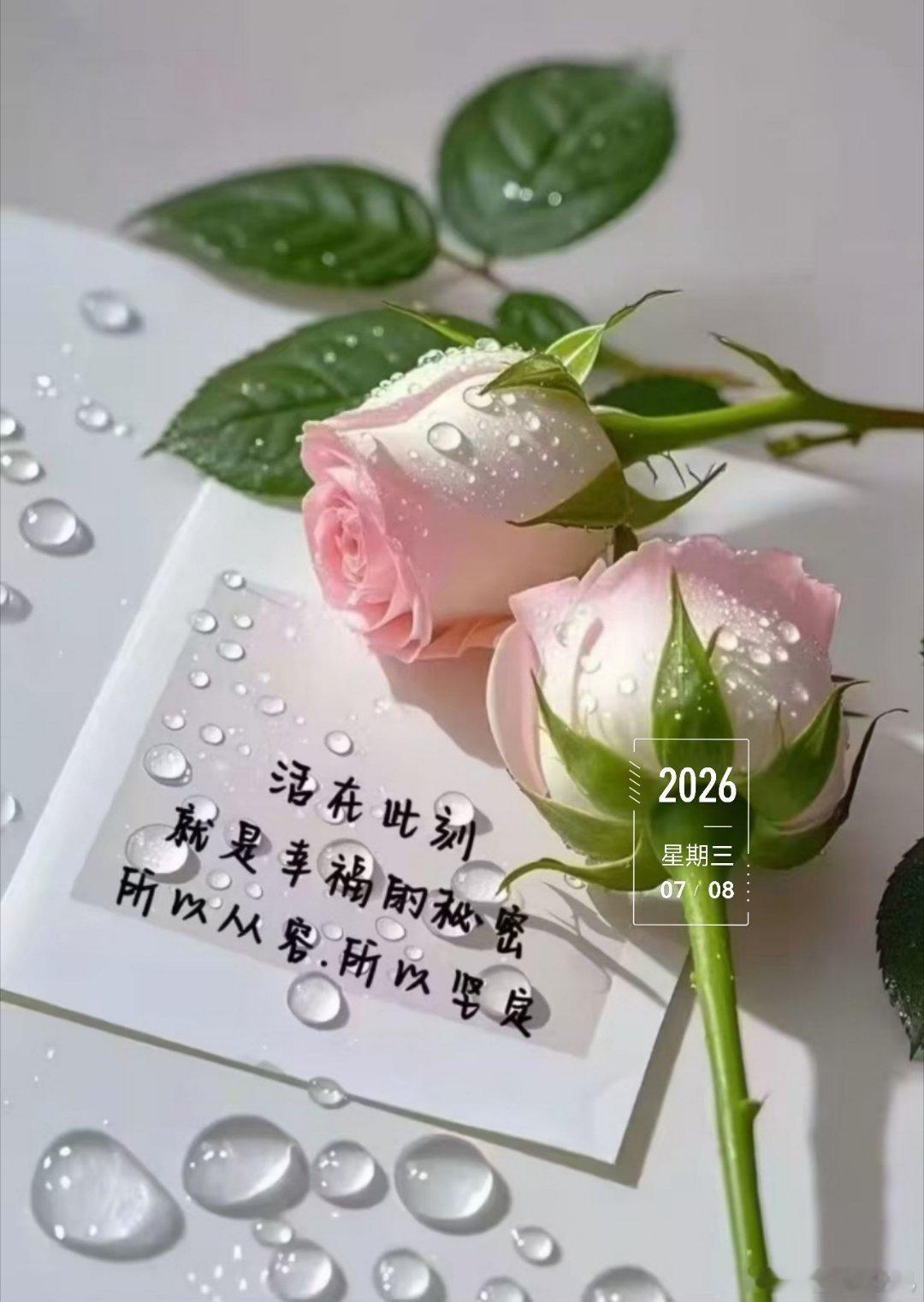 周三早安，雨后的空气里都是清新的味道，新的一天开始啦🌿 北京