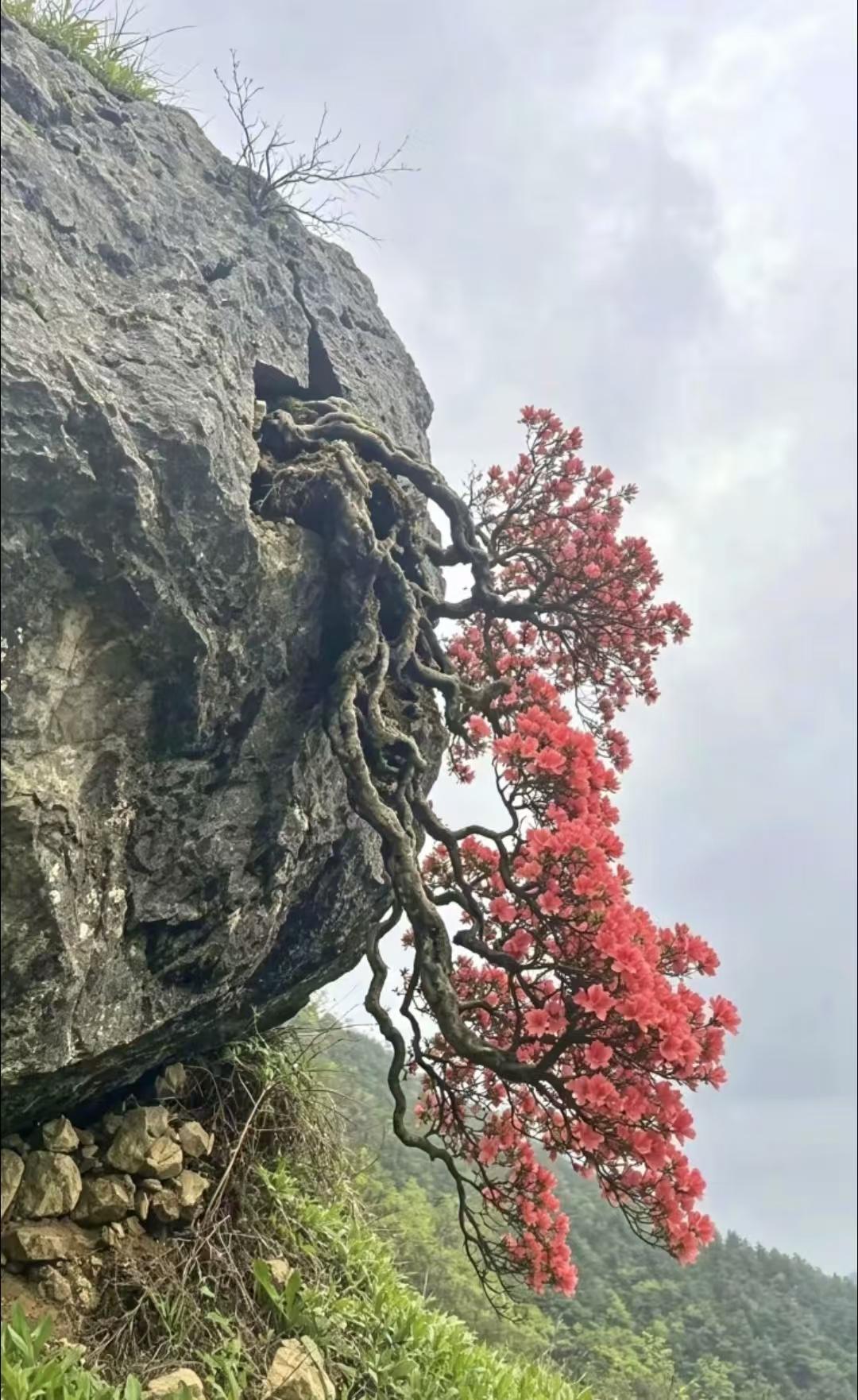 等你干不动了，这 6 件事要提前安排：

1、存好应急私房钱。
手里一定要留一笔