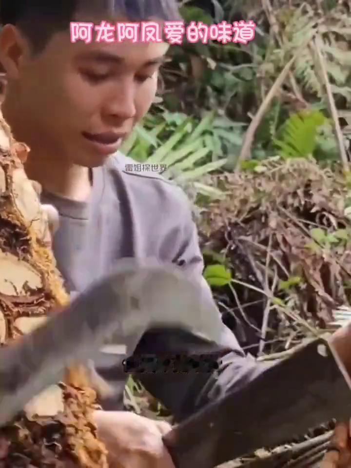 阿龙阿凤爱的味道。
阿龙和阿凤今天来山里挖药材，还没结婚的他们处于恋爱甜蜜期，走