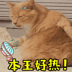 汗腺发达的人如何度过夏天 出门五分钟流汗两小时，冰袖、止汗露、速干衣全套装备不能