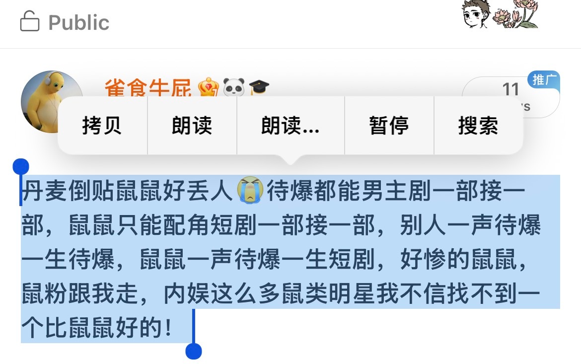 首页有关注我的鼠鼠粉吗，我来带你们找下家了 