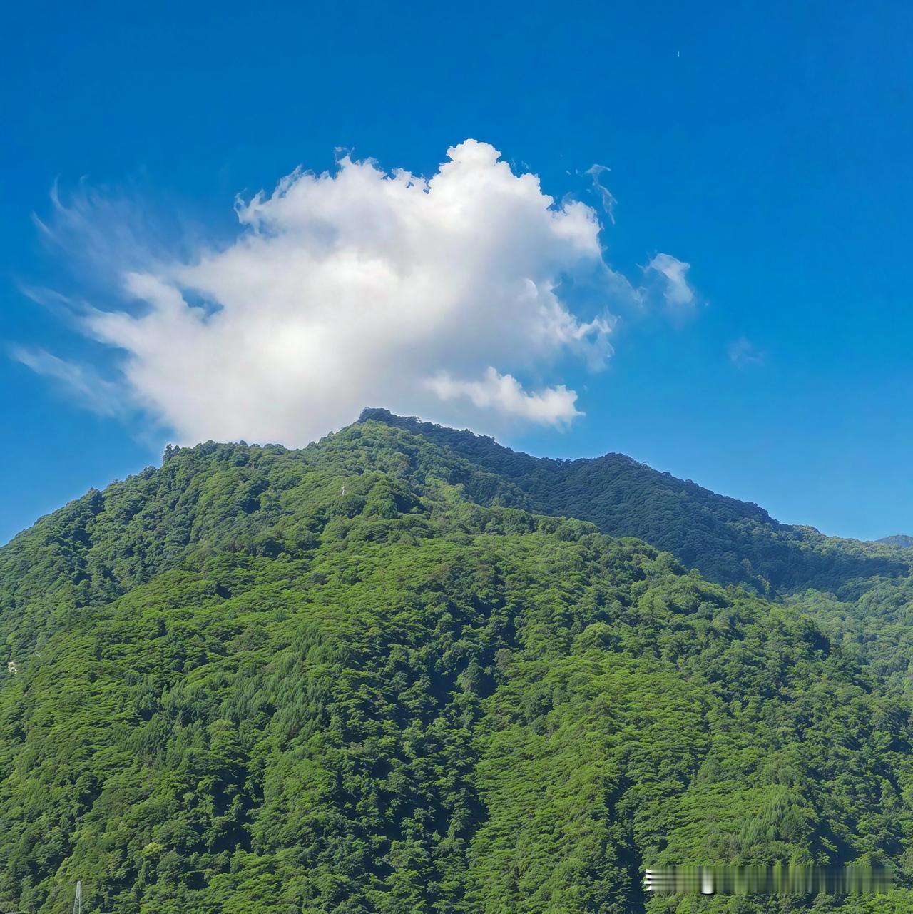 上周去浙西的山里自驾，刚好撞上连晴三天的好天气，天是那种没有一丝杂色的透蓝，大朵