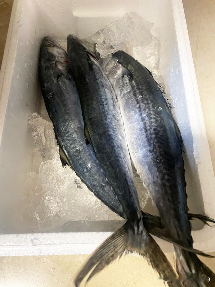 营口鲅鱼圈9月1号开海，又可以吃到新鲜的鲅鱼了。

昨天在小区群里订购的鲅鱼圈现