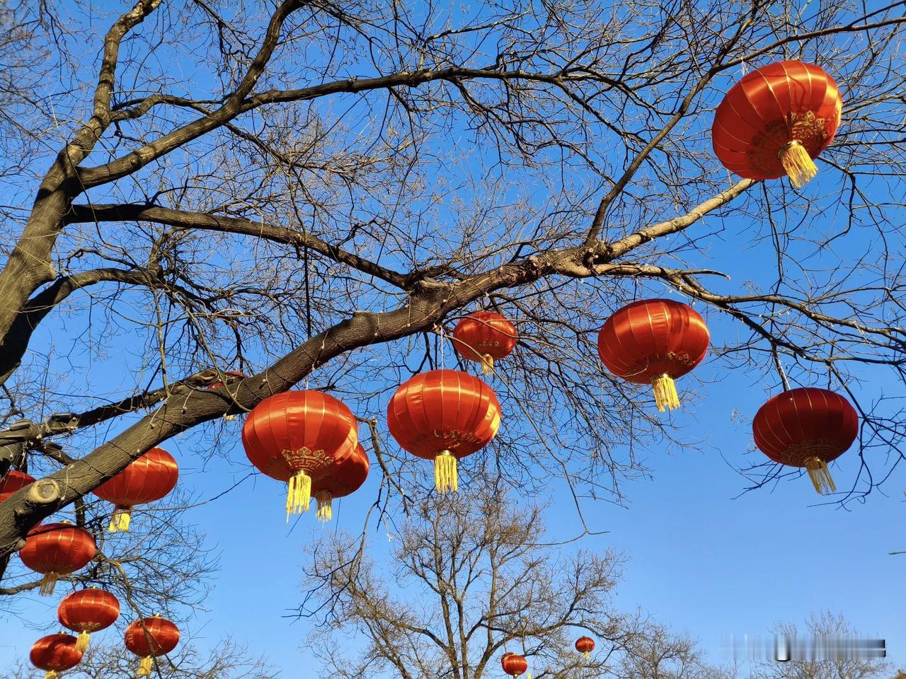 集卡领福袋和我一起参与集卡领福袋活动，瓜分十万元现金大奖，合成福袋最高得2025