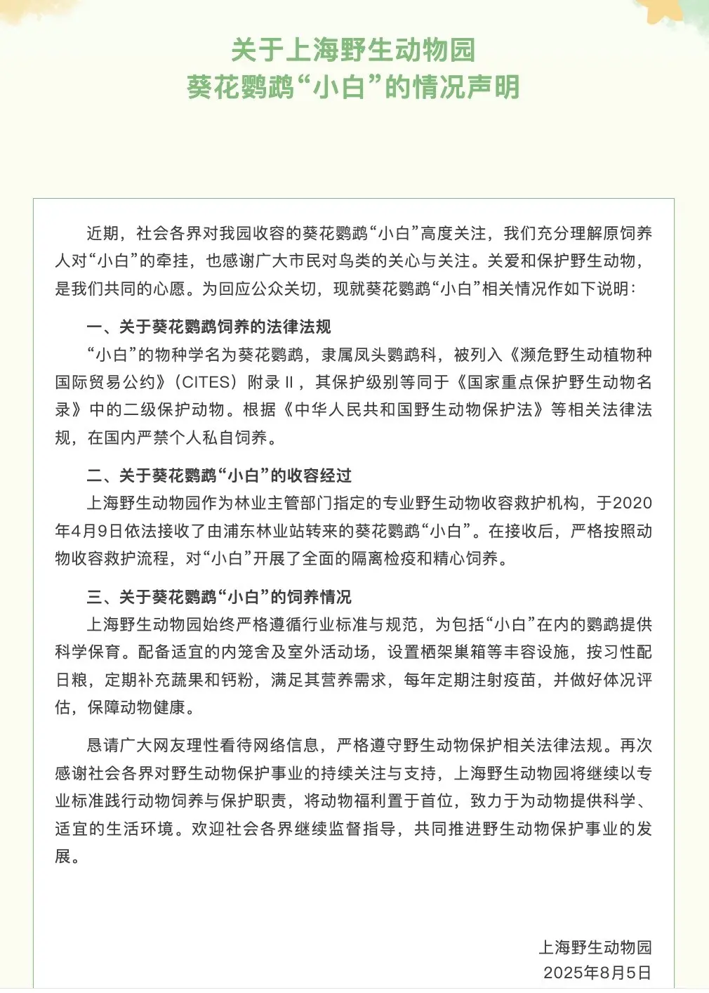 关于上海野生动物园葵花鹦鹉“小白”的情况