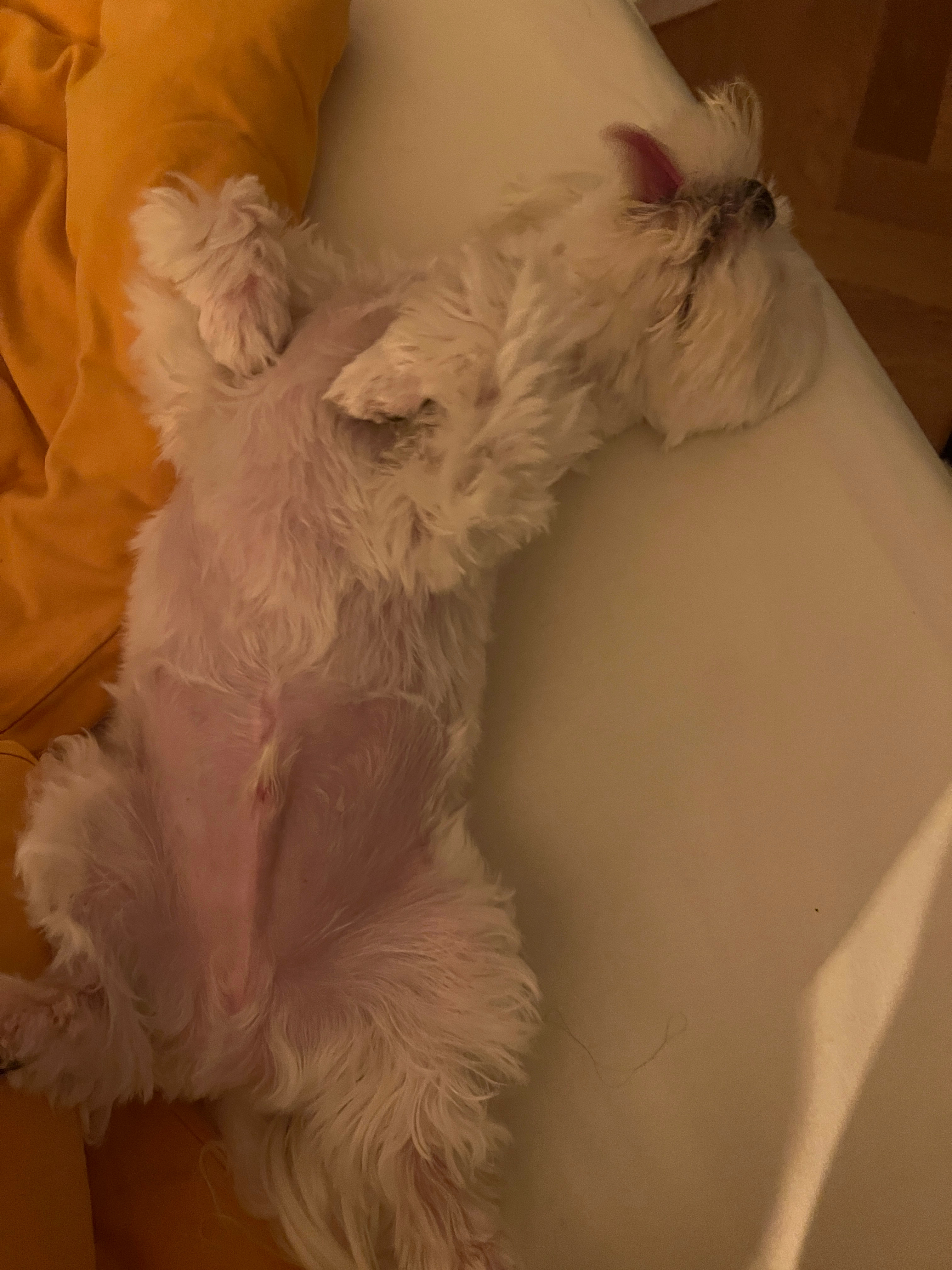 李家统一睡姿 ​​​