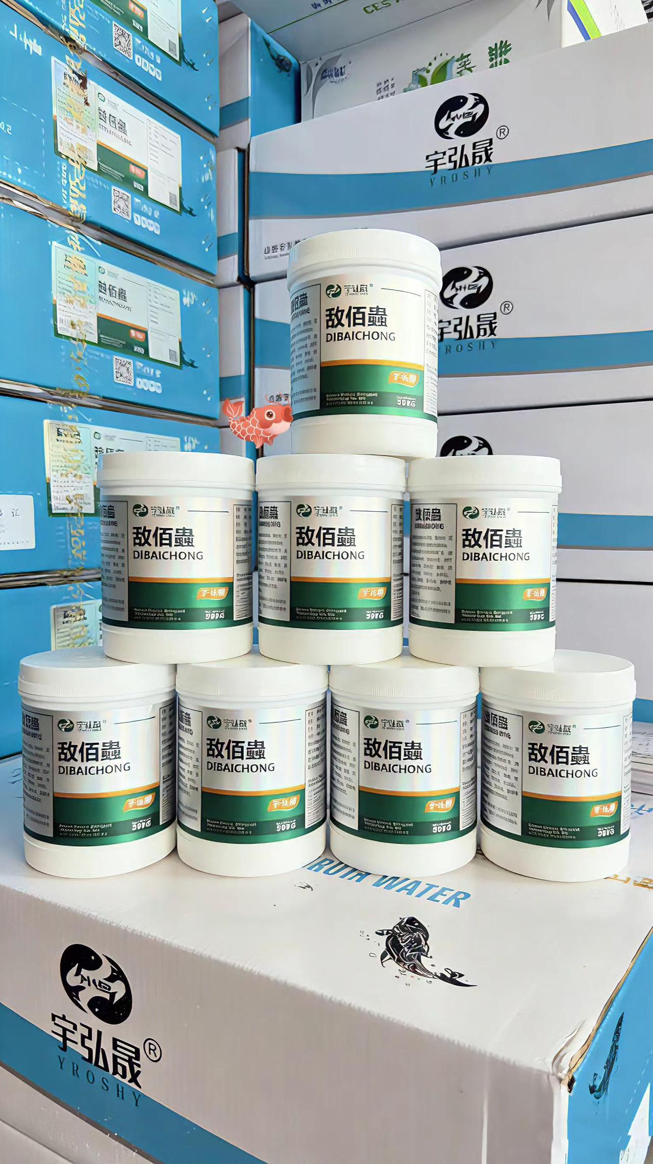 敌佰蟲 鱼塘养殖 鲢鱼 鲤鱼 草鱼